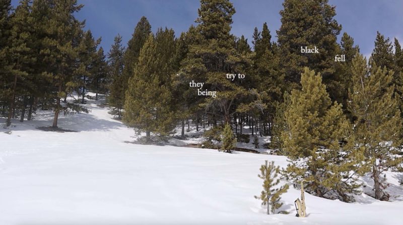 A still from Impediment is Information by JJJJJerome Ellis. A video still shows conifers in a snowy Wyoming landscape. A saxophone rests in a stand in the snow. The words "they try to fell black being" appear in white text overlaid on the video. The sky is blue.
