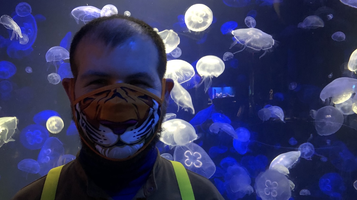 Jordan Lord, a 30 year-old white person with short brown hair, stands in front of a tank of bioluminescent jellyfish, wearing a face mask printed with the nose and mouth of a tiger. Their eyes seem to be smiling.