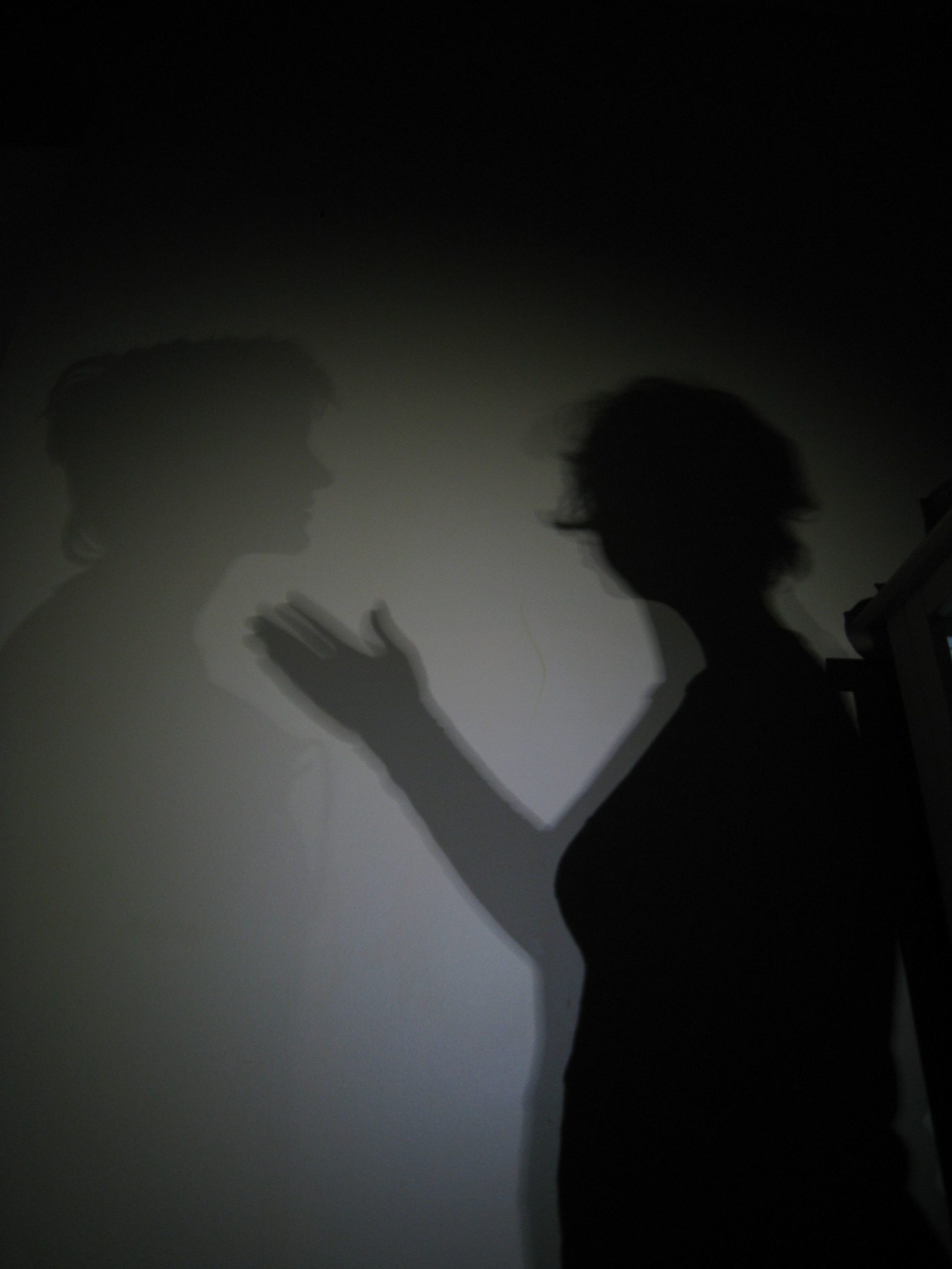 A photograph of the shadows of two people against a wall.