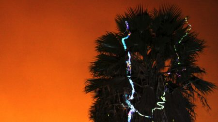 Adele Han Li, Chella Drive. Hot bright streaks of lightning are projected on a dark palm tree, silhouetted against a sinister orange sky.