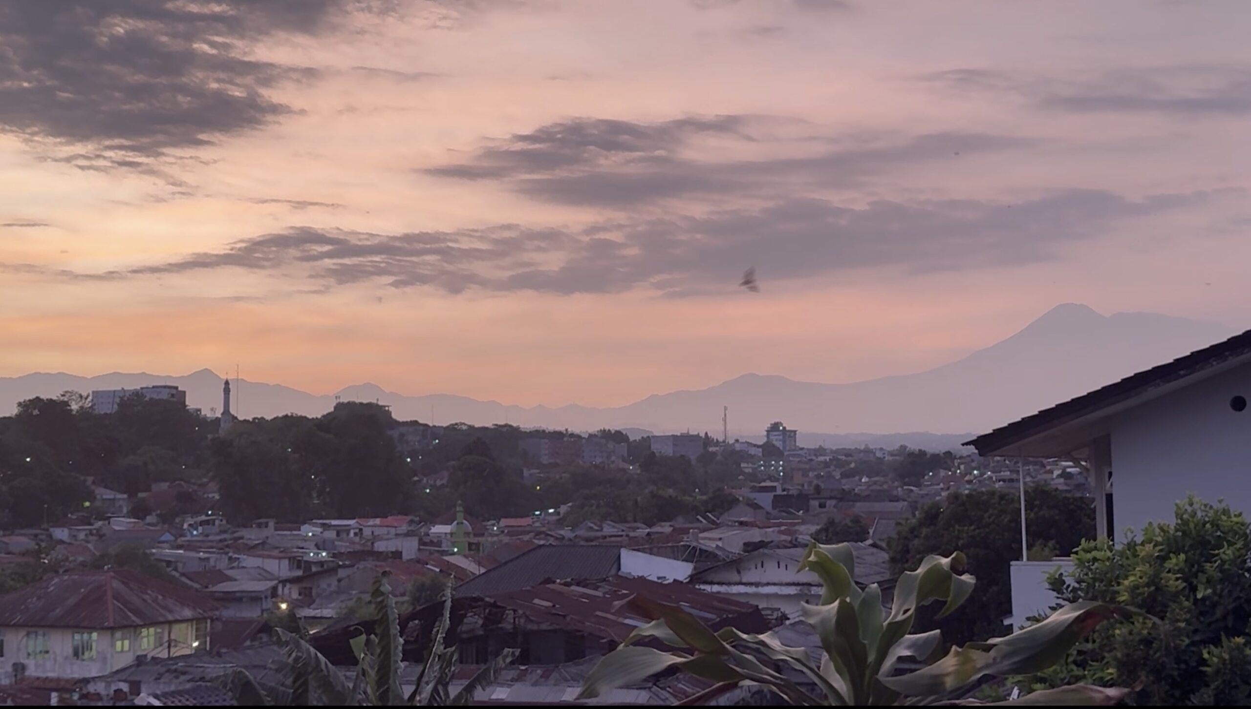 A still from Olivia Ong Evans' film Kota Hujan (City of Rain). A still of Bogor, Indonesia at dusk or dawn, with a pink and orange sky. Shorter buildings with flat roofs are on the bottom, and skyscrapers and mountains are visible in the distance. A bird is flying through the flame.
